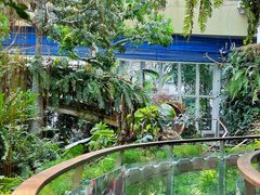 -正佳雨林生态植物园