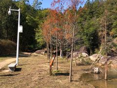 -广州白江湖森林公园