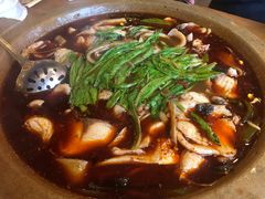 -都江堰石锅鱼