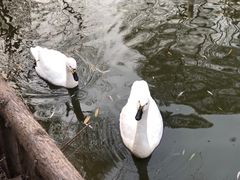 -济南野生动物世界