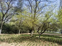 -秀水公园
