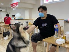 -李小姐の猫咖啡馆(五角场店)