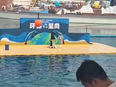 -秦皇岛乐岛海洋王国