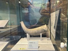 -日照市博物馆