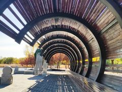 -永定河休闲森林公园