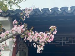 -常熟方塔园