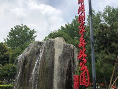 -合肥滨湖国家森林公园