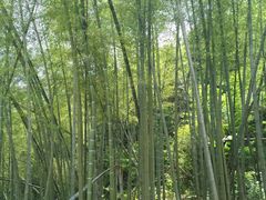 -会稽山峡洞漂流-上青古道