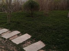 -大港湿地公园