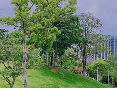 -白石龙音乐公园