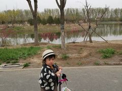 -东郊湿地公园