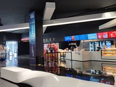 -奥斯卡升龙国际影城(RealD Cinema)