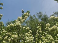 -苏州太湖国家湿地公园