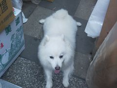 -花莲东大门国际观光夜市