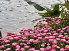 -荔湾湖公园