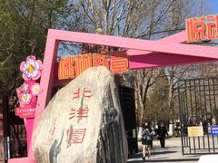 -桃花堤公园