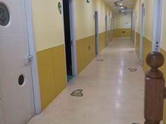 -小问号·科学启蒙·逻辑思维·阅读素养·口才演讲(杨浦合生汇中心)
