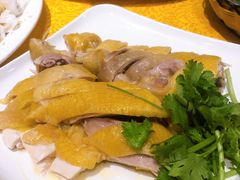 正宗农家白切鸡-黄B湛江鸡饭店(粤垦路店)