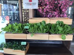 -真爱中国餐馆·年华店(朱雀大街店)