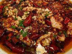 -巴渝菜舍曾氏麻辣风(霸州店)