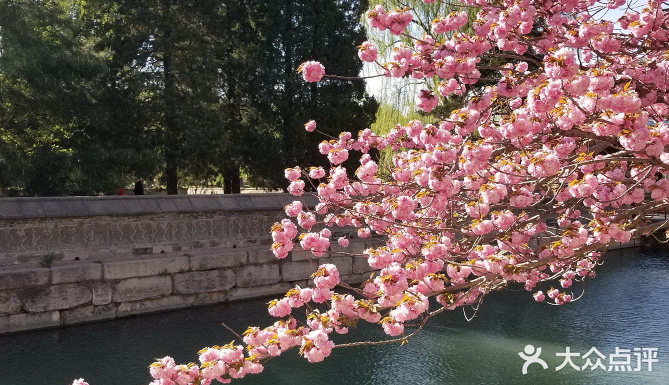 花的海洋+最能感受北京春意的地方之一
