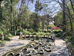 -成都市活水公园