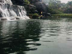 -金鸡山公园