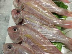 -美食汇·海鲜自助西餐厅·江门富力万达嘉华酒店