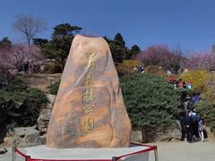 -北京西山国家森林公园