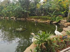 -厦门日月谷温泉渡假村