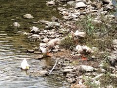 -花岩国家森林公园