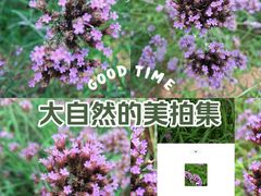 -羊亭河湿地公园