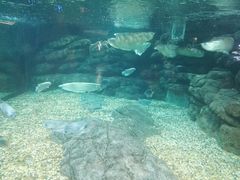 -绍兴梦享海洋公园