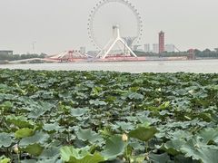 -唐山河头老街国丰维景度假大酒店