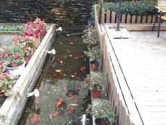 -老洋房花园饭店(绍兴路店)