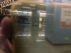 -大龙山(地铁站)