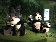 -成都泰迪熊博物馆