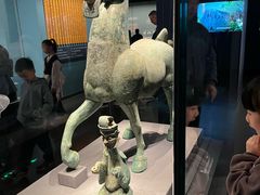 -广西壮族自治区博物馆