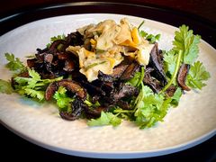 -滇野云南野生菌餐厅(陕西南路店)