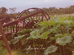 -武汉紫薇都市田园