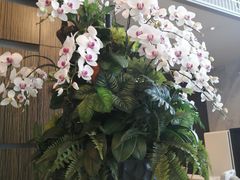 -上海虹桥西郊假日酒店