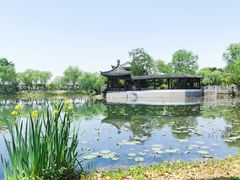 -尚湖风景区