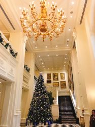 -天津丽思卡尔顿酒店·宴会厅