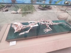 -陕西自然博物馆