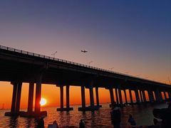 -宝安西湾红树林湿地公园