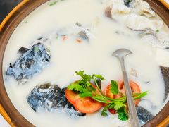 -全乐鱼馆·淳牌有机鱼直营店