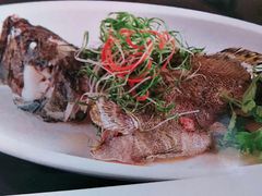 -东鸽皇(奥园·中环广场店)