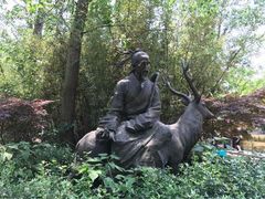 -溱湖国家湿地公园