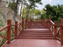 -深圳国际园林花卉博览园