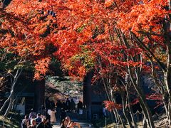 -醍醐寺